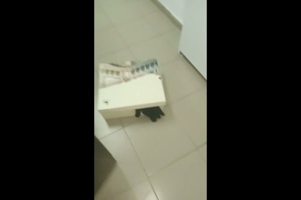 Ссылка на кракен тор