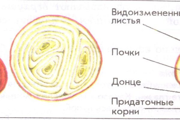 Кракен ссылку где