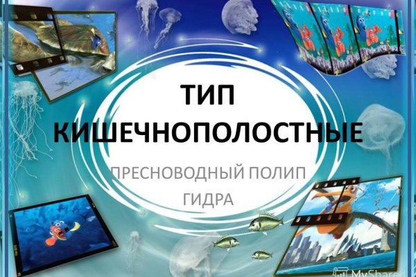 Почему не заходит на кракен