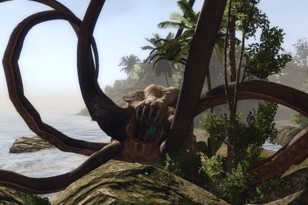 Kraken 23at