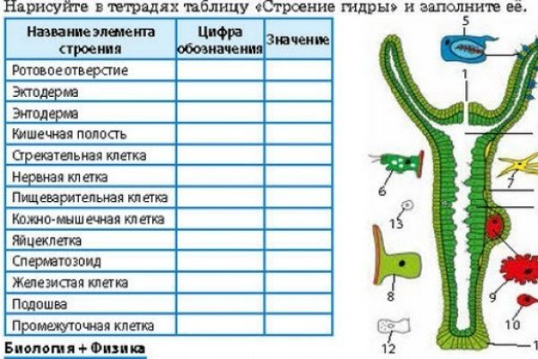 Кракен маркетплейс как зайти