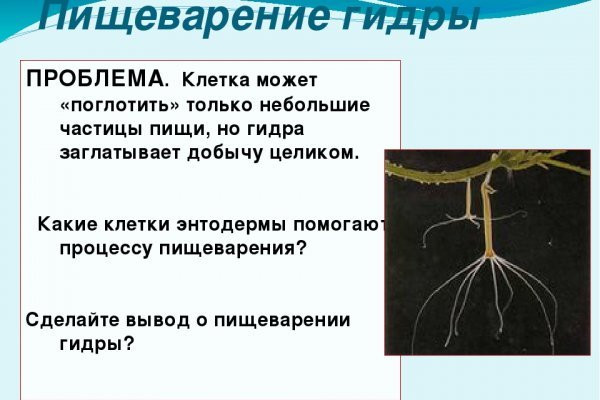 Что такое кракен в интернете