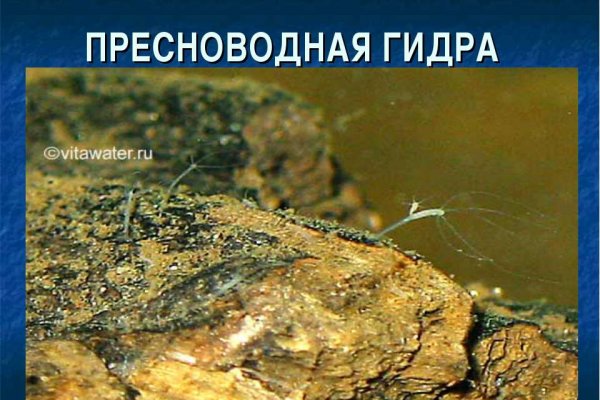 Дарк нет вход