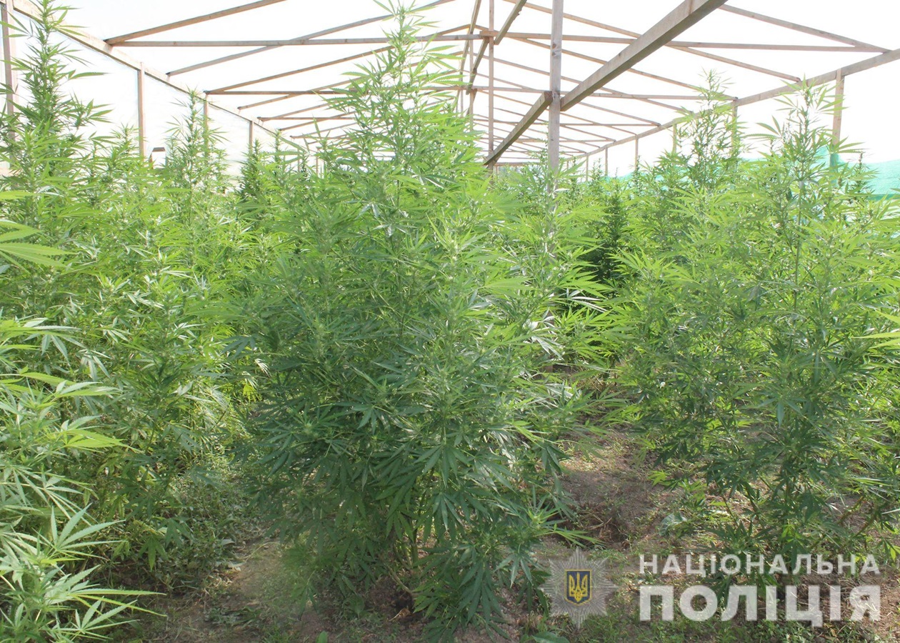 Как зайти на кракен через айфон